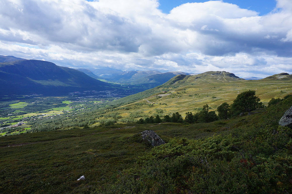 Oppdal - bøgda mi, bøgda over alle bøgde!