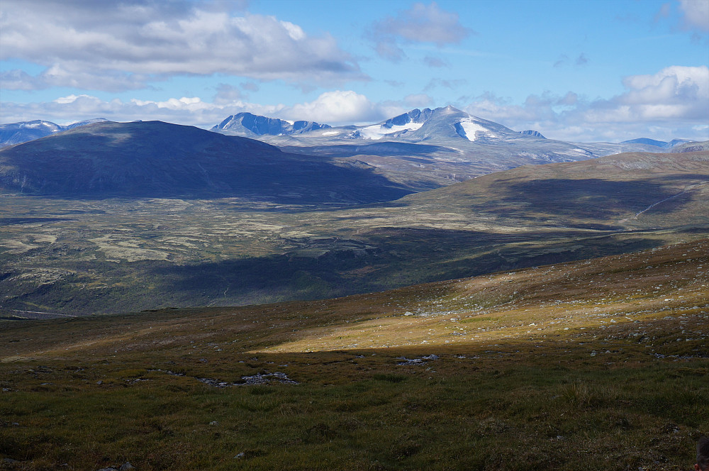 Dronninga på Dovrefjell: Snøhetta