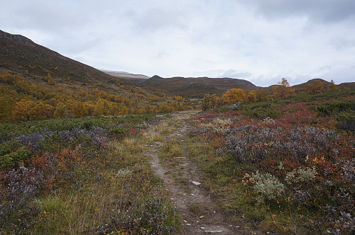 Ådalen