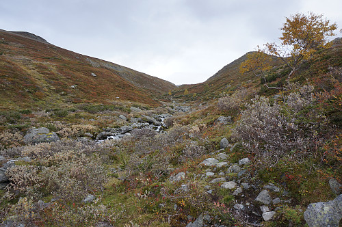Skjørdøla