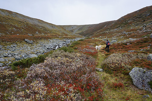 Skjørdøla