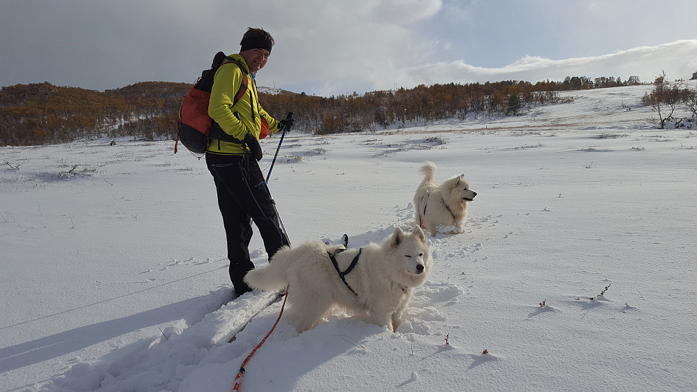 Polarhundene storkoste seg i nysnøen. Egil som er vokst opp i Bergen var veldig fornøyd med snø istedet for regn...