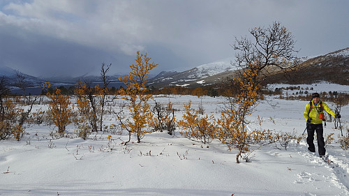 Fint skiføret. 