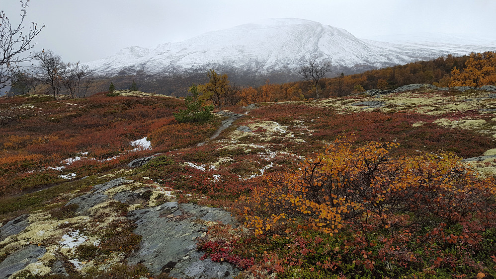 Nyter denne fine tiden med alle de fine fargene i naturen.