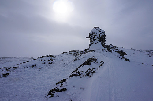  Svahøa