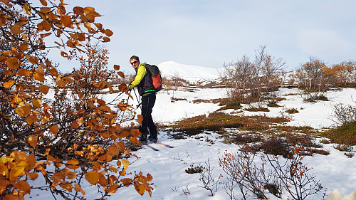 Det er liksom ikke sant fine høst farger og enda finere skiføre.