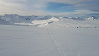 opps_20181010_5bbe4d245b484.jpg
