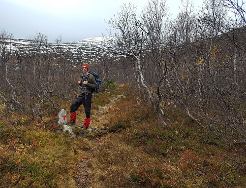 Roar på tur oppover lia til Hyttdalen.