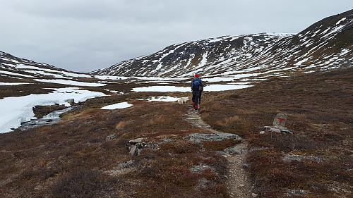   Hyttdalen.