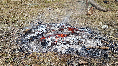 Varm start på dagens rusletur.