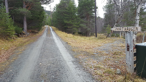 Tar av her ved grinda og følger sykkelstien oppover istedet for å gå etter veien.