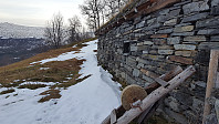 opps_20181120_5bf48ec0eedf4.jpg