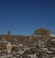 opps_20181202_5c04408e2b4e0.jpg