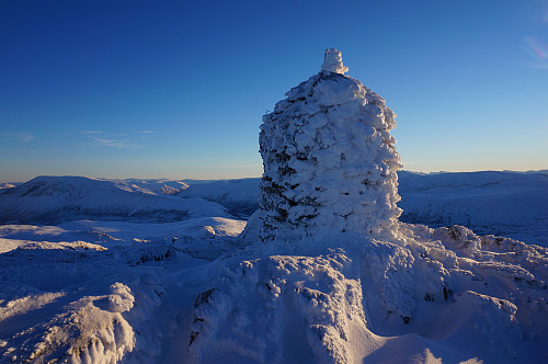 Storbekkhøa
