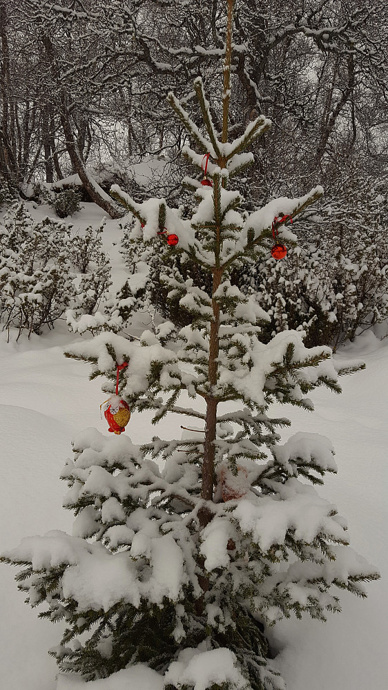 God Jul.