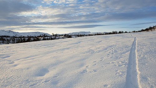 Det fineste er ett enkelt naturlig skispor i stedet for tråkkemaskin eller scooterspor...