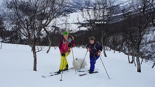 Snart over tregrensen.