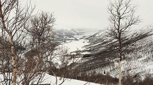 Fin utsikt innover Storlidalen.