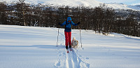opps_20190206_5c5b4550a1542.jpg