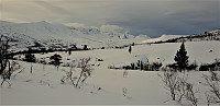 opps_20190206_5c5b4634d1129.jpg