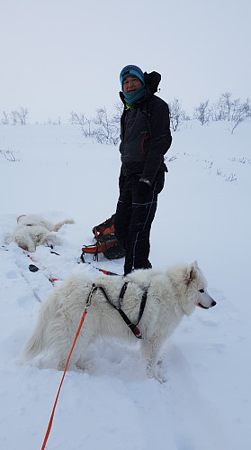  Skikkelig gufse oppe på fjellet. 