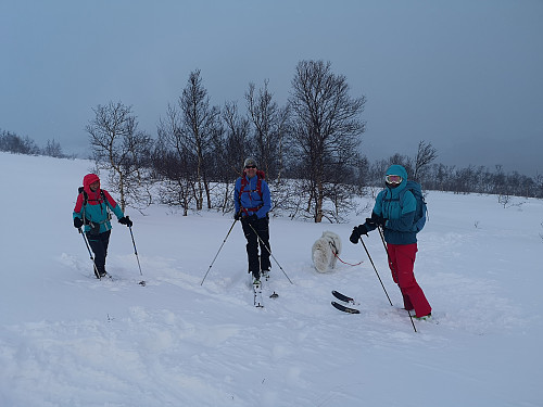  Skikkelig gufse oppe på fjellet. 