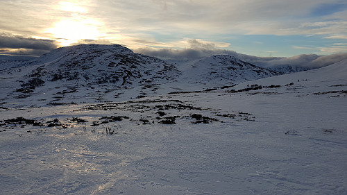 Svahøa og Tyrikvamfjellet