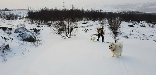Egil med ulldottene