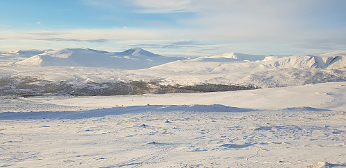 Snøhetta 
