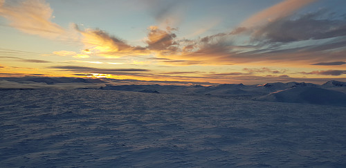 Nydelig ettermiddagslys.  