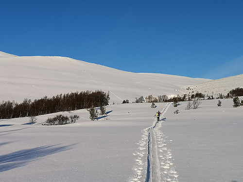 Slipper å gå i kø når en velger å starte fra Skinnset.