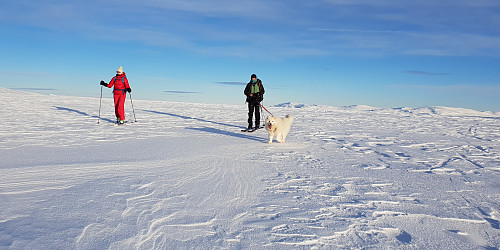 Siri, Egil og Bamse sklir bortover til Storhornet sør.