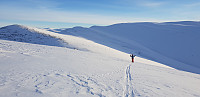 opps_20190207_5c5c9e86b66be.jpg