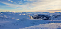 opps_20190207_5c5c9eb6bb594.jpg