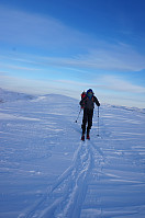 opps_20190207_5c5c9ebd80e01.jpg