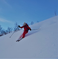 opps_20190207_5c5c9ec3dbfa4.jpg