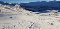 opps_20190208_5c5d51ecb921a.jpg