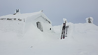 opps_20190220_5c6d9b78478ce.jpg