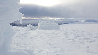 opps_20190220_5c6d9b7c0dfb5.jpg