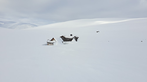 Armoa som ligger fint til ved Springtverråtjønna.