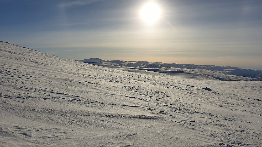 Veien videre til Elghøa i solskinn.