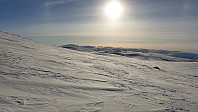 opps_20190220_5c6d9b959878d.jpg