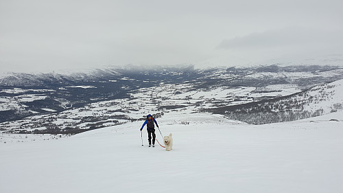 Egil og Bamse på tur opp bakkene ovenfor Negardssætra. 
