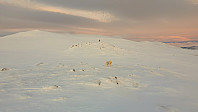 opps_20190220_5c6da6fc22b2e.jpg