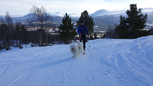 Egil og Bamse