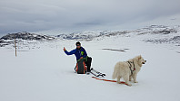 opps_20190224_5c72ef9d2277f.jpg