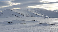 opps_20190224_5c72efaa97ada.jpg