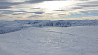 opps_20190224_5c72efe7c95a9.jpg
