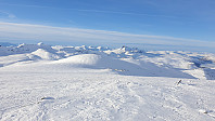 opps_20190224_5c72f0a342e20.jpg