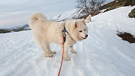 opps_20190227_5c76a63f1c425.jpg